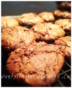 Choc chip cookies 2